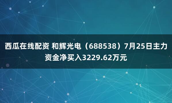西瓜在线配资 和辉光电（688538）7月25日主力资金净买入3229.62万元